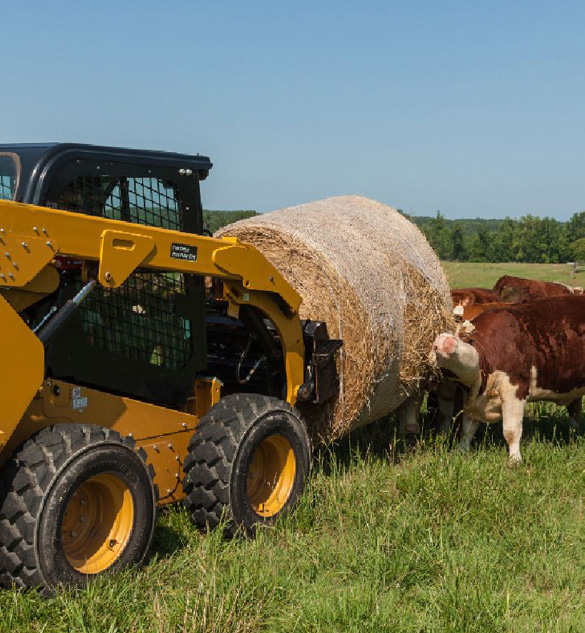 Skid Steer Field Cows with a Bail of Hay